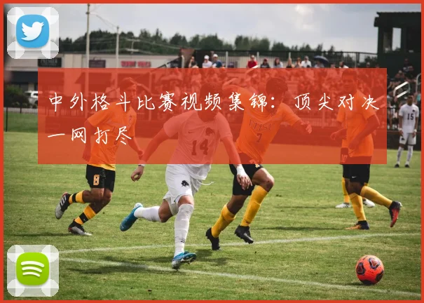 中外格斗比赛视频集锦:顶尖对决一网打尽